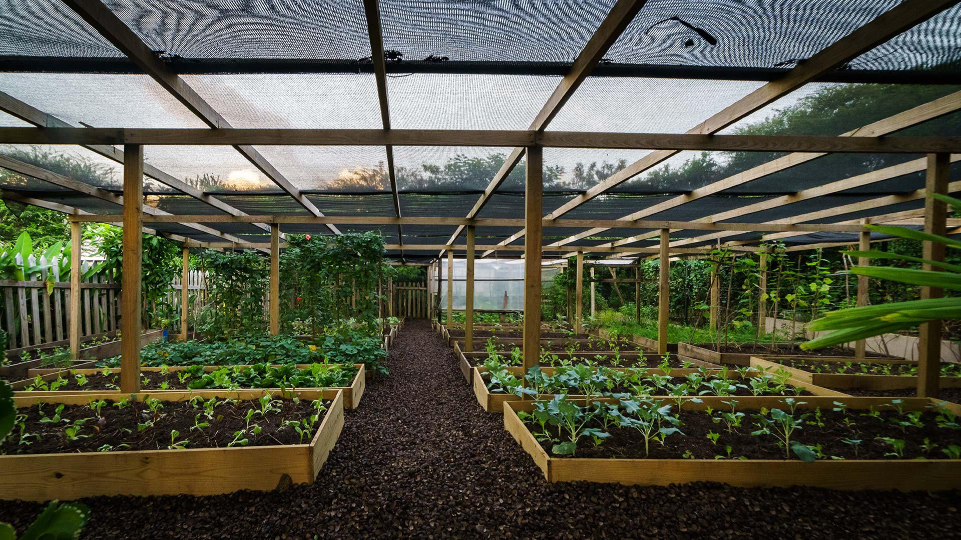 Visit Solamente Greenhouse