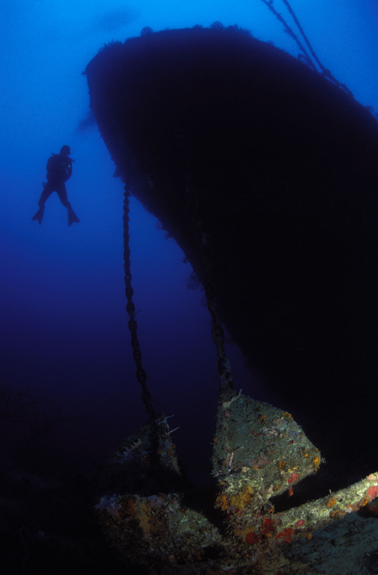 Grenada Diving - Island Activities