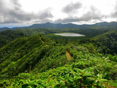 Grenada Rainforest - Island Activities