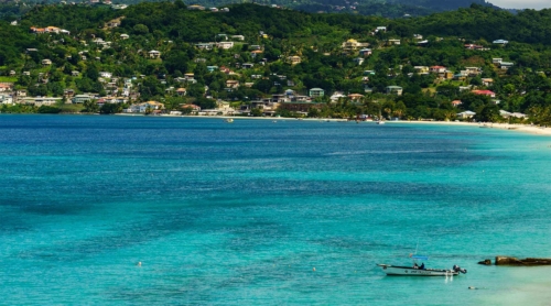 Grenada Diving - Island Activities